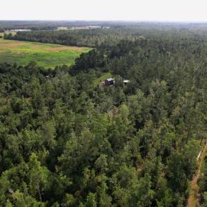 Photo #5 of SOLD property in Off Old Dothan Road, Tabor City, NC 20.9 acres