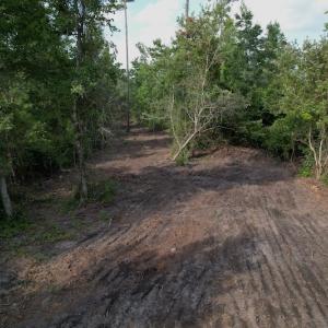 Photo #7 of SOLD property in Off Old Dothan Road, Tabor City, NC 20.9 acres