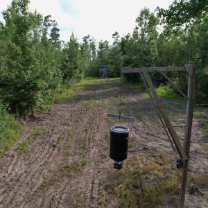 Photo #8 of SOLD property in Off Old Dothan Road, Tabor City, NC 20.9 acres