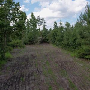 Photo #9 of SOLD property in Off Old Dothan Road, Tabor City, NC 20.9 acres