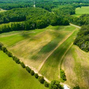 Photo #3 of SOLD property in Off Cherry Grove Road, Yanceyville, NC 12.5 acres