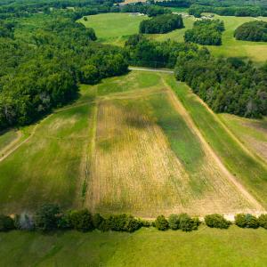 Photo #4 of SOLD property in Off Cherry Grove Road, Yanceyville, NC 12.5 acres