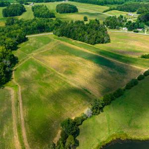 Photo #5 of SOLD property in Off Cherry Grove Road, Yanceyville, NC 12.5 acres
