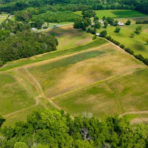 Photo #8 of SOLD property in Off Cherry Grove Road, Yanceyville, NC 12.5 acres