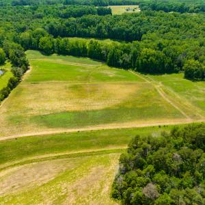 Photo #12 of SOLD property in Off Cherry Grove Road, Yanceyville, NC 12.5 acres