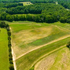 Photo #13 of SOLD property in Off Cherry Grove Road, Yanceyville, NC 12.5 acres