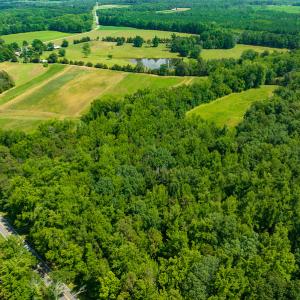Photo #5 of SOLD property in Off Cherry Grove Road, Yanceyville, NC 13.7 acres