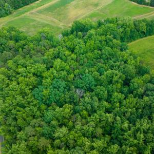Photo #7 of SOLD property in Off Cherry Grove Road, Yanceyville, NC 13.7 acres