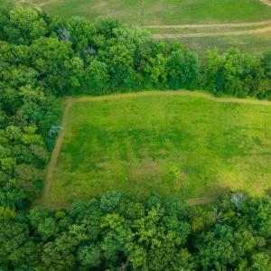 Photo #8 of SOLD property in Off Cherry Grove Road, Yanceyville, NC 13.7 acres