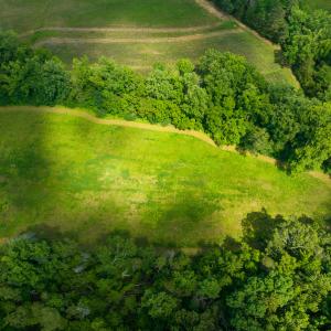 Photo #9 of SOLD property in Off Cherry Grove Road, Yanceyville, NC 13.7 acres