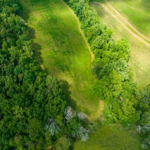 Photo #10 of SOLD property in Off Cherry Grove Road, Yanceyville, NC 13.7 acres