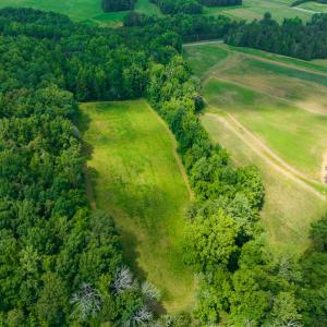 Photo #11 of SOLD property in Off Cherry Grove Road, Yanceyville, NC 13.7 acres