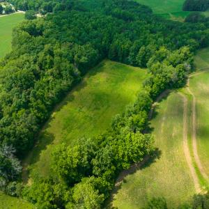 Photo #12 of SOLD property in Off Cherry Grove Road, Yanceyville, NC 13.7 acres