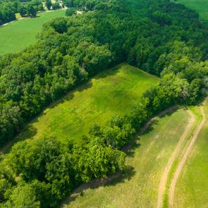 Photo #13 of SOLD property in Off Cherry Grove Road, Yanceyville, NC 13.7 acres