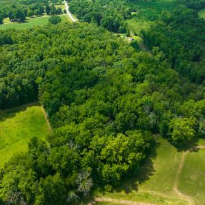 Photo #14 of SOLD property in Off Cherry Grove Road, Yanceyville, NC 13.7 acres