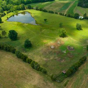 Photo #3 of SOLD property in Off Cherry Grove Road, Yanceyville, NC 15.3 acres