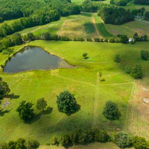 Photo #4 of SOLD property in Off Cherry Grove Road, Yanceyville, NC 15.3 acres