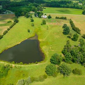 Photo #6 of SOLD property in Off Cherry Grove Road, Yanceyville, NC 15.3 acres