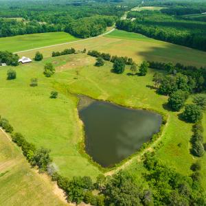 Photo #7 of SOLD property in Off Cherry Grove Road, Yanceyville, NC 15.3 acres