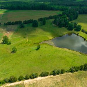 Photo #8 of Off Cherry Grove Road, Yanceyville, NC 15.3 acres