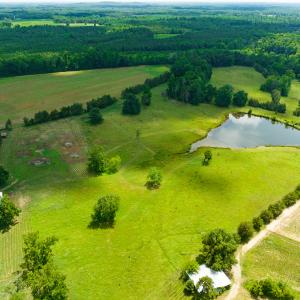 Photo #9 of SOLD property in Off Cherry Grove Road, Yanceyville, NC 15.3 acres