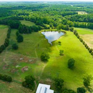 Photo #10 of SOLD property in Off Cherry Grove Road, Yanceyville, NC 15.3 acres