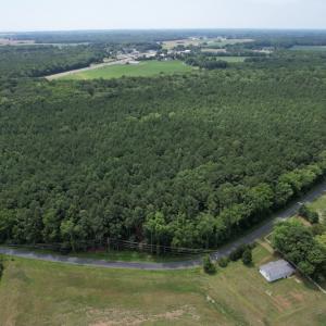 Photo #14 of SOLD property in Off Elmore Road, Painter, VA 66.1 acres