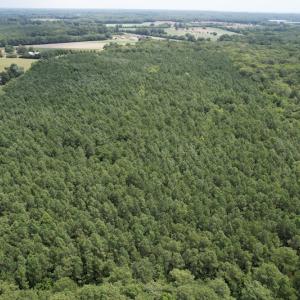 Photo #15 of SOLD property in Off Elmore Road, Painter, VA 66.1 acres