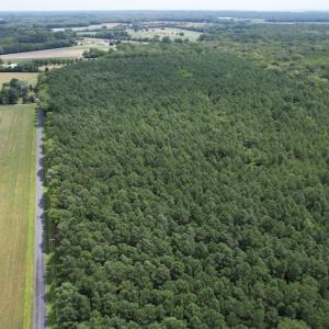 Photo #16 of SOLD property in Off Elmore Road, Painter, VA 66.1 acres