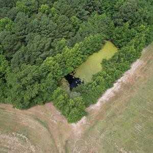 Photo #17 of SOLD property in Off Elmore Road, Painter, VA 66.1 acres