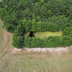 Photo #18 of SOLD property in Off Elmore Road, Painter, VA 66.1 acres