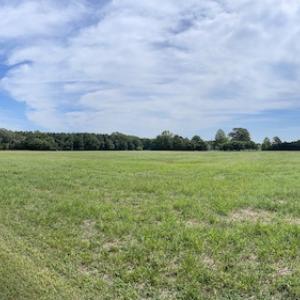 Photo #42 of SOLD property in Off Elmore Road, Painter, VA 66.1 acres