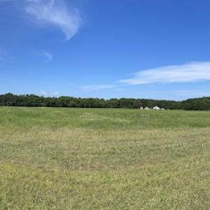 Photo #43 of SOLD property in Off Elmore Road, Painter, VA 66.1 acres
