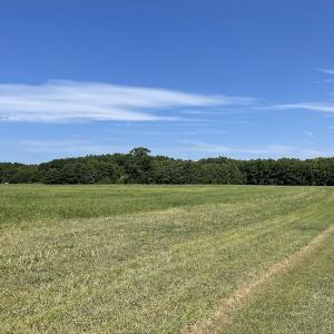 Photo #44 of SOLD property in Off Elmore Road, Painter, VA 66.1 acres