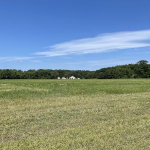 Photo #45 of SOLD property in Off Elmore Road, Painter, VA 66.1 acres