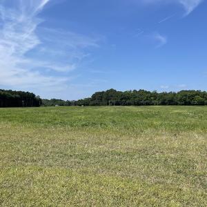 Photo #46 of SOLD property in Off Elmore Road, Painter, VA 66.1 acres