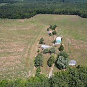 Photo #4 of SOLD property in Off Elmore Road, Painter, VA 66.1 acres