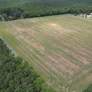 Photo #5 of SOLD property in Off Elmore Road, Painter, VA 66.1 acres