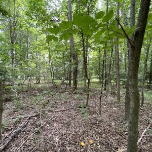 Photo #11 of SOLD property in Off Cabin Point Road, Spring Grove, VA 19.2 acres