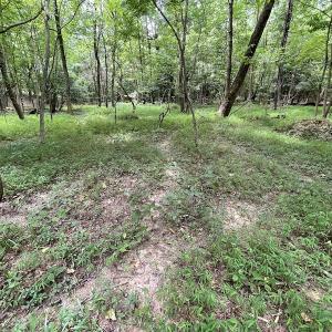 Photo #13 of SOLD property in Off Cabin Point Road, Spring Grove, VA 19.2 acres