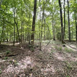 Photo #15 of SOLD property in Off Cabin Point Road, Spring Grove, VA 19.2 acres