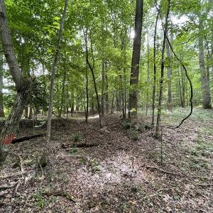 Photo #16 of SOLD property in Off Cabin Point Road, Spring Grove, VA 19.2 acres