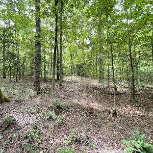 Photo #17 of SOLD property in Off Cabin Point Road, Spring Grove, VA 19.2 acres