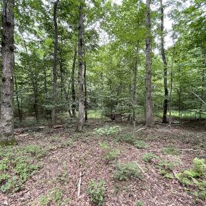 Photo #18 of SOLD property in Off Cabin Point Road, Spring Grove, VA 19.2 acres