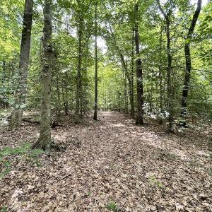 Photo #19 of SOLD property in Off Cabin Point Road, Spring Grove, VA 19.2 acres