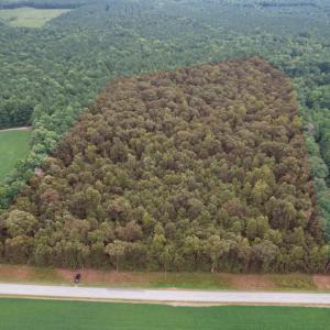 Photo #2 of SOLD property in Off Cabin Point Road, Spring Grove, VA 19.2 acres