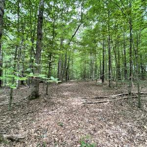 Photo #20 of SOLD property in Off Cabin Point Road, Spring Grove, VA 19.2 acres