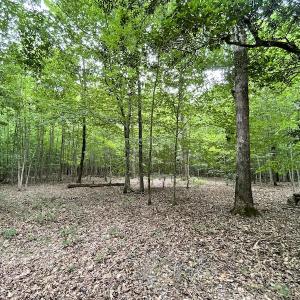 Photo #22 of SOLD property in Off Cabin Point Road, Spring Grove, VA 19.2 acres