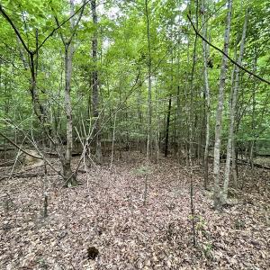Photo #23 of SOLD property in Off Cabin Point Road, Spring Grove, VA 19.2 acres
