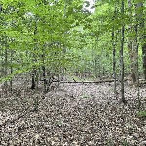 Photo #24 of SOLD property in Off Cabin Point Road, Spring Grove, VA 19.2 acres